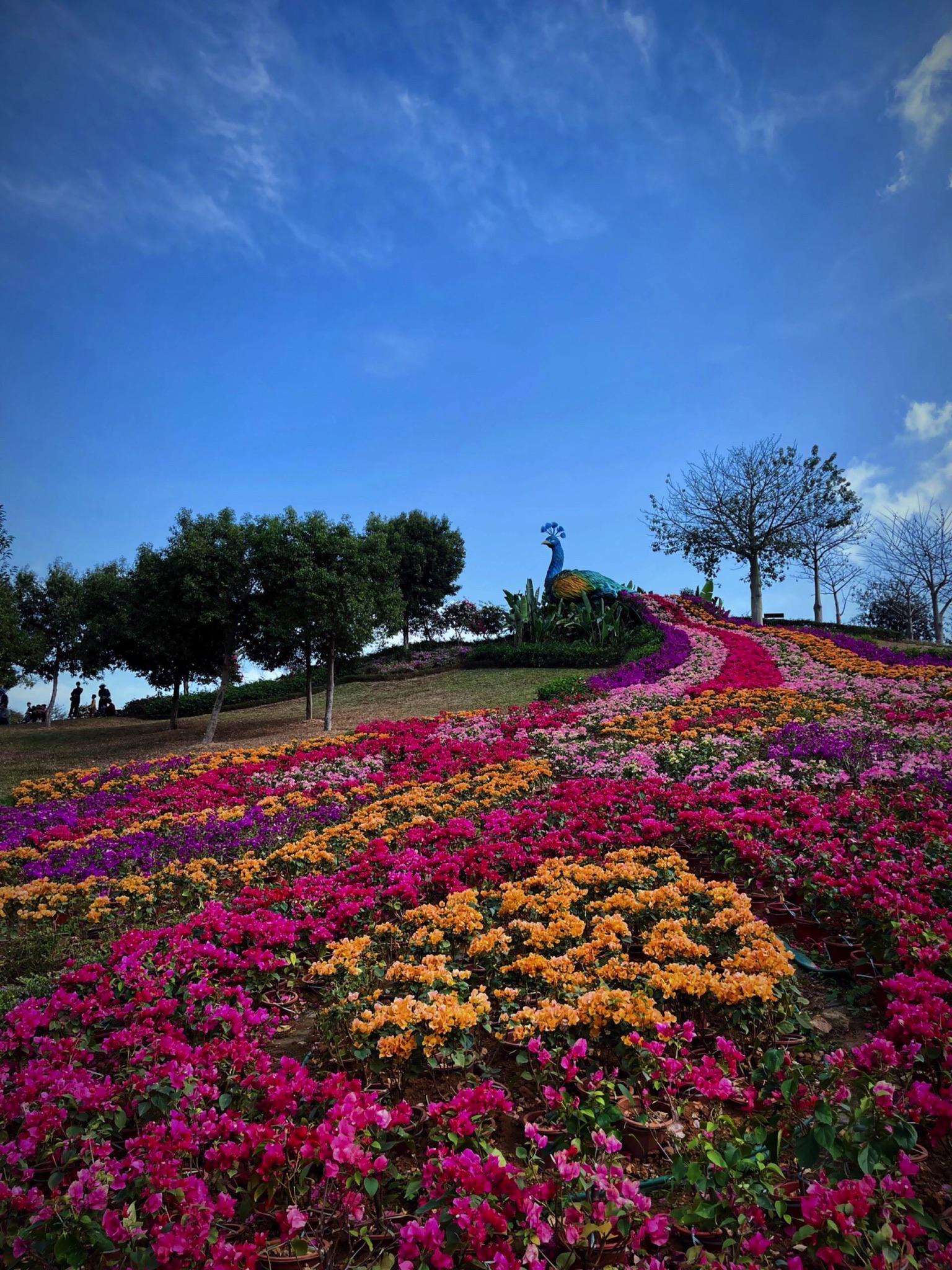 东莞植物园