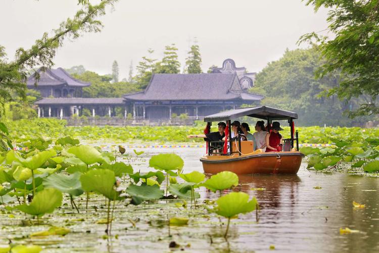 荷花世界