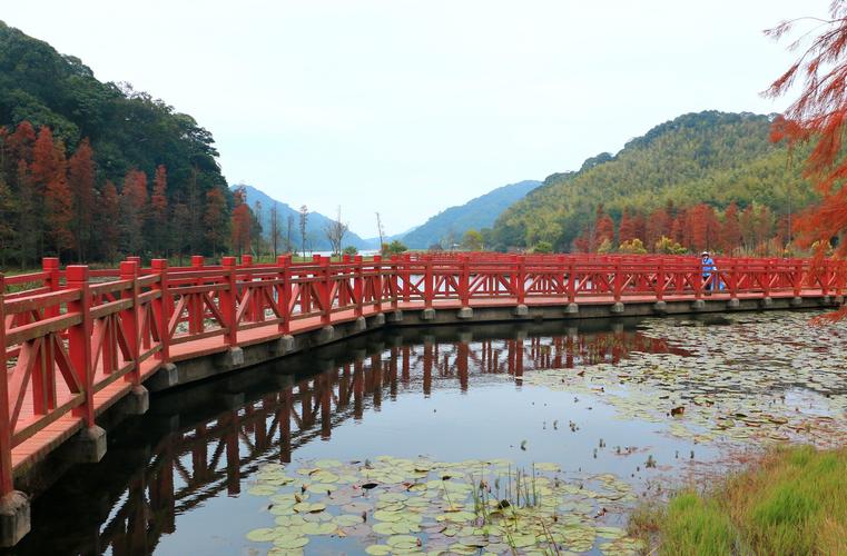 石门国家森林公园