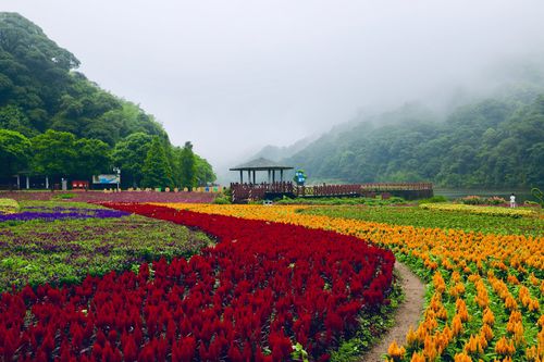 石门国家森林公园