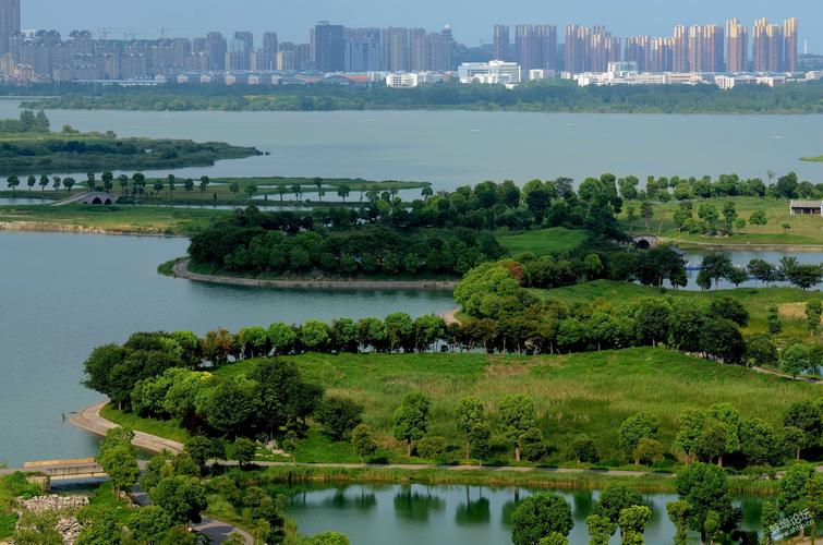 龙子湖