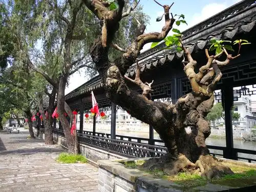 中山詹园