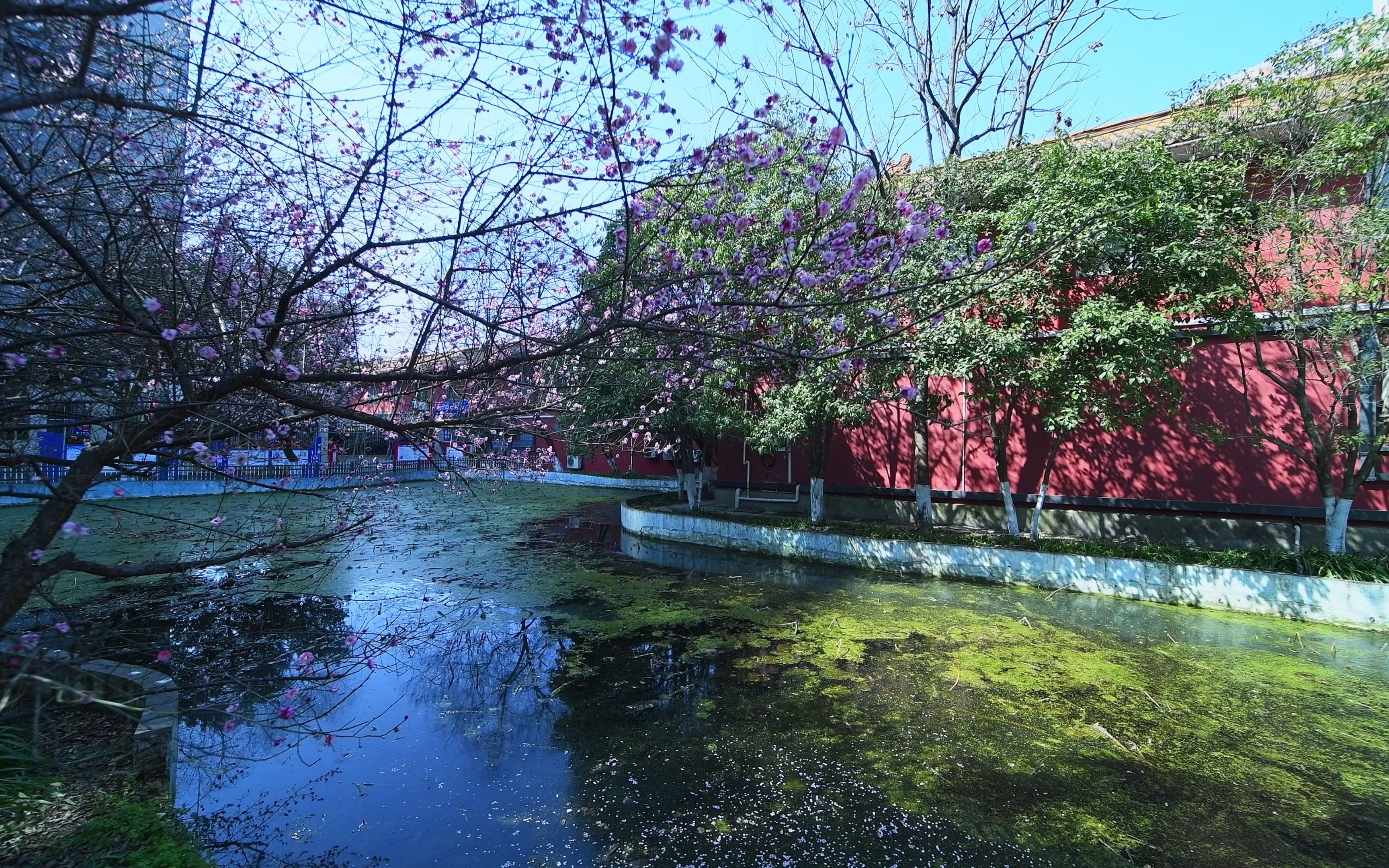 十堰市人民公园