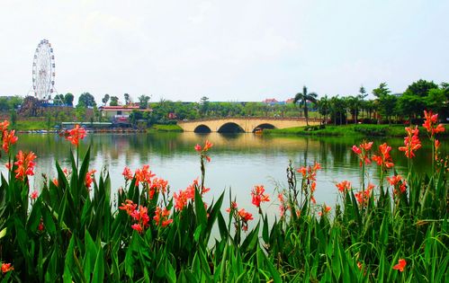 玫瑰湖公园