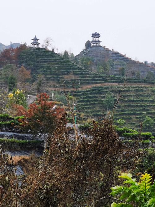 茶山金字塔