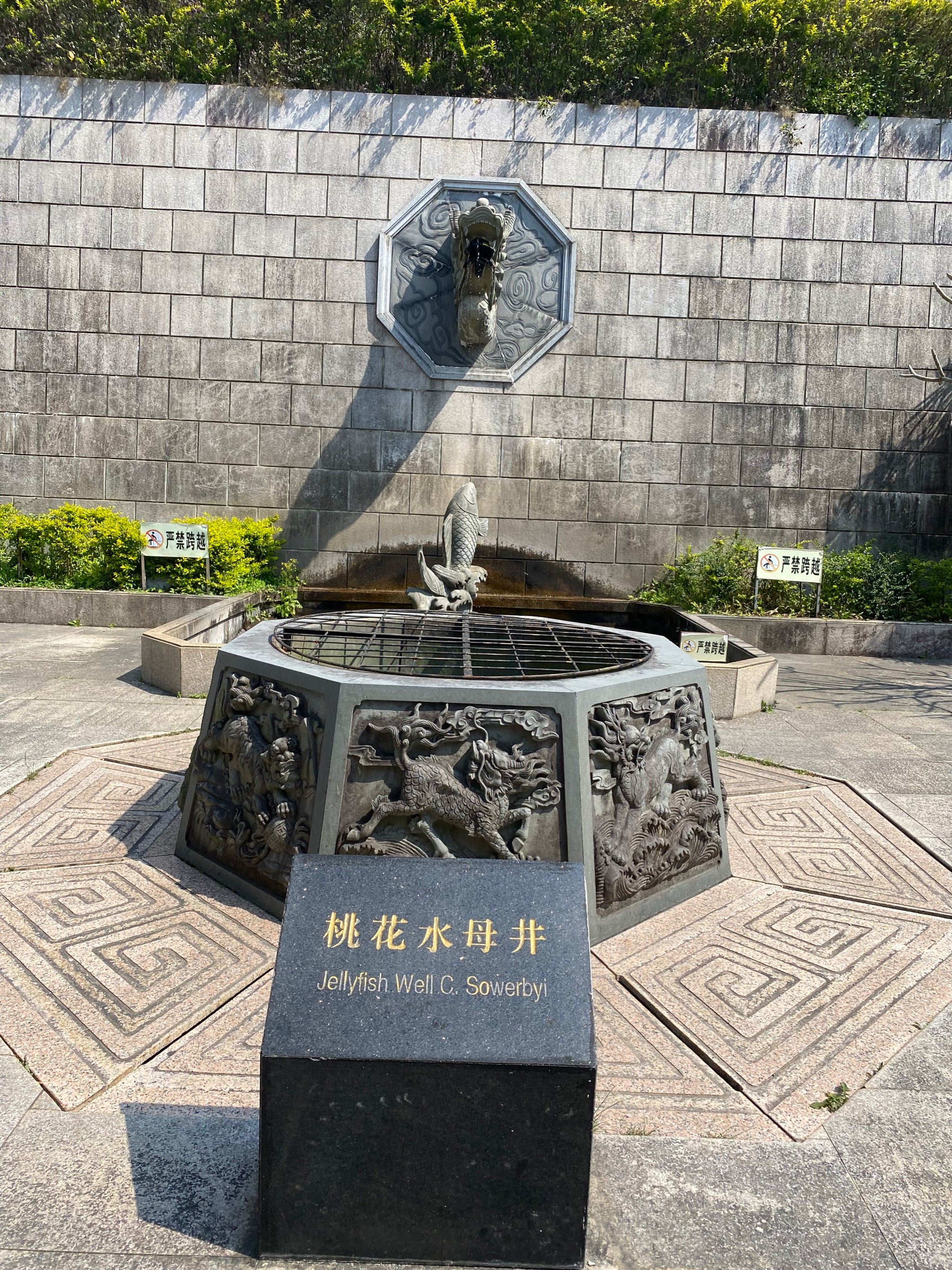 淡浮院