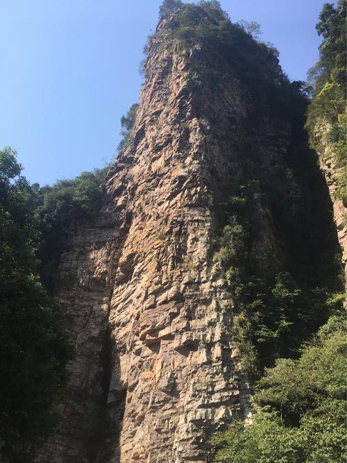 龙山