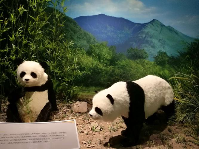重庆自然博物馆
