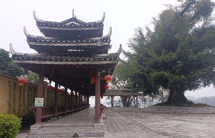 知青城