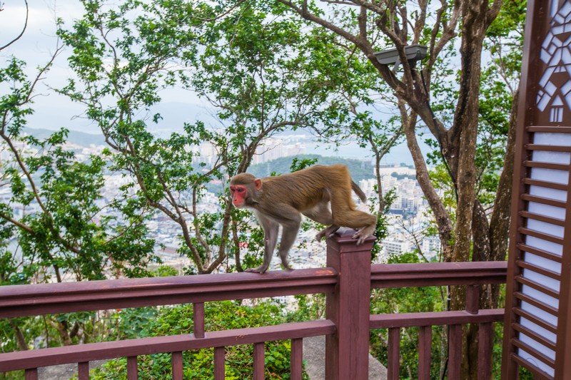 鹿回头山顶公园