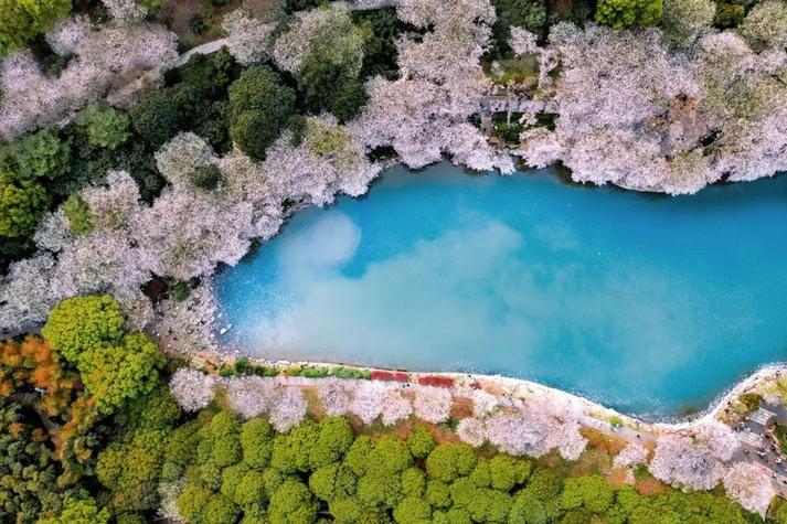 湖南省植物园