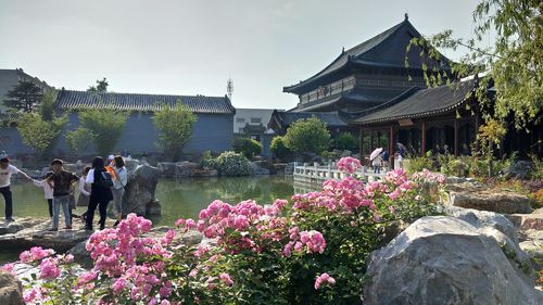 花洲书院