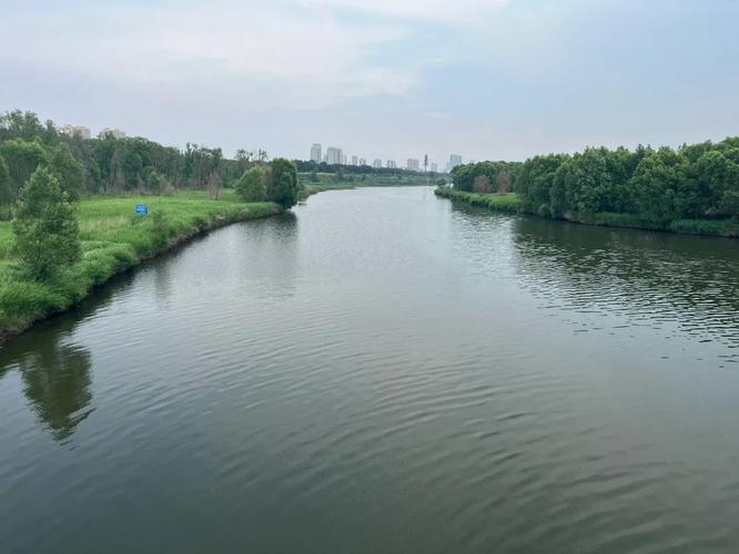 孝河湿地公园