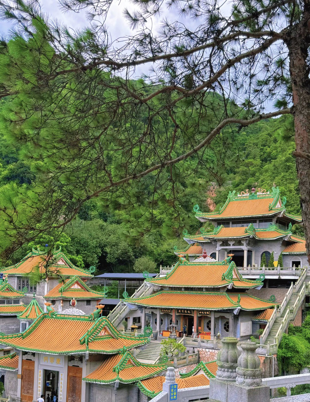 南海湾森林生态园
