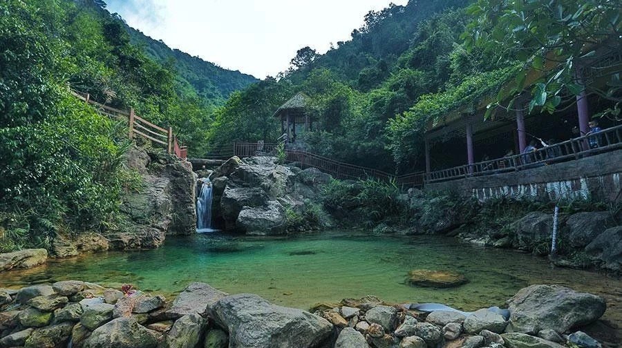 南海湾森林生态园