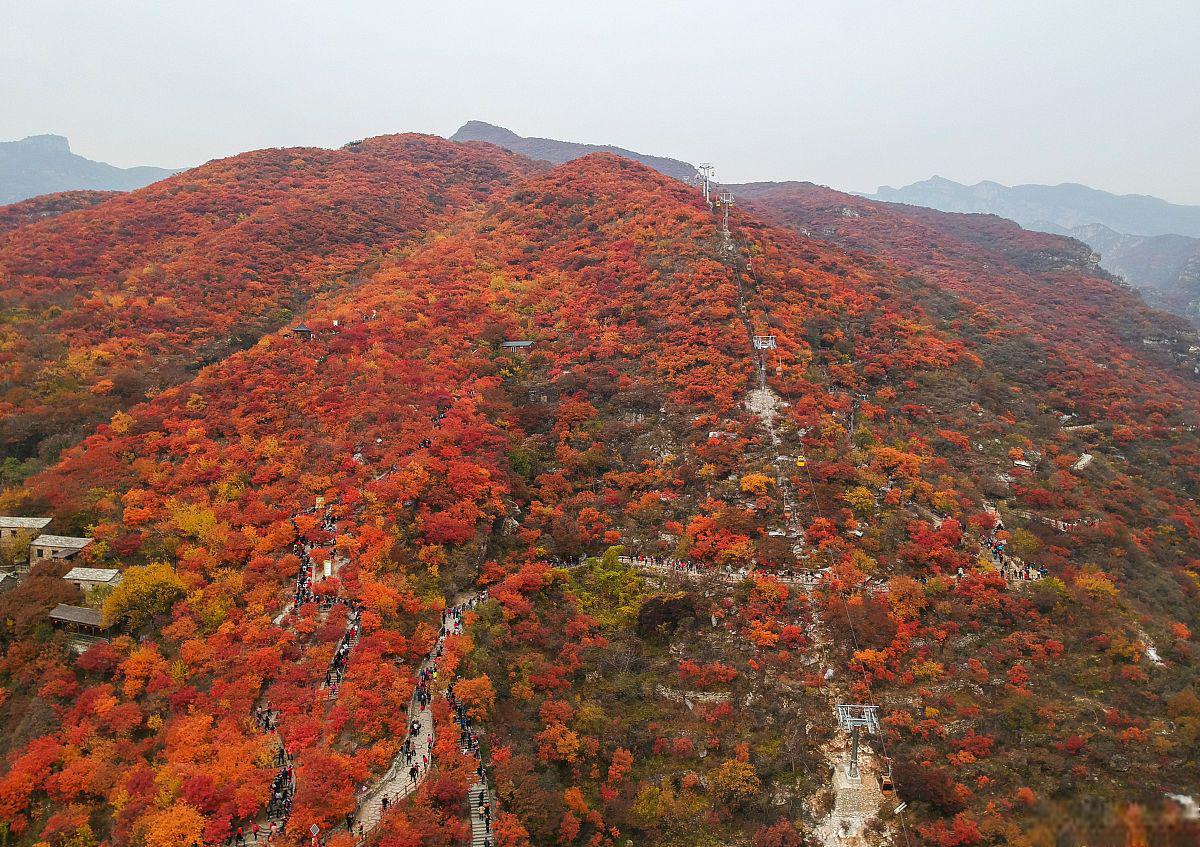 赤山