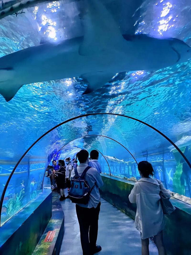 青岛海底世界