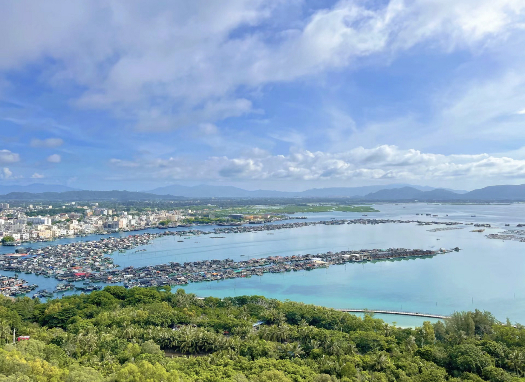 南湾猴岛