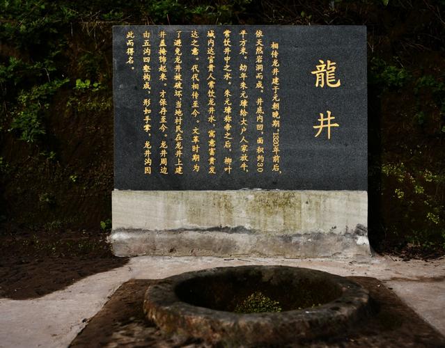 龙井沟