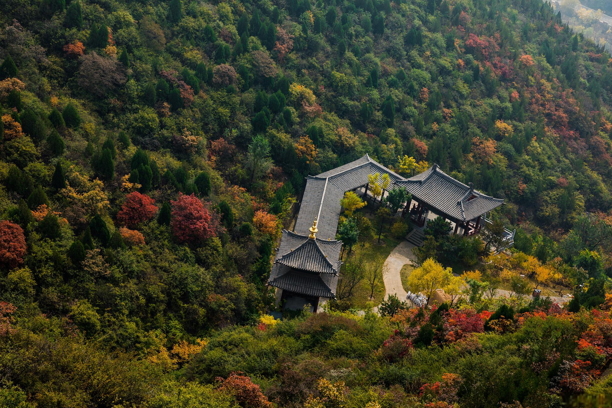 浮来山