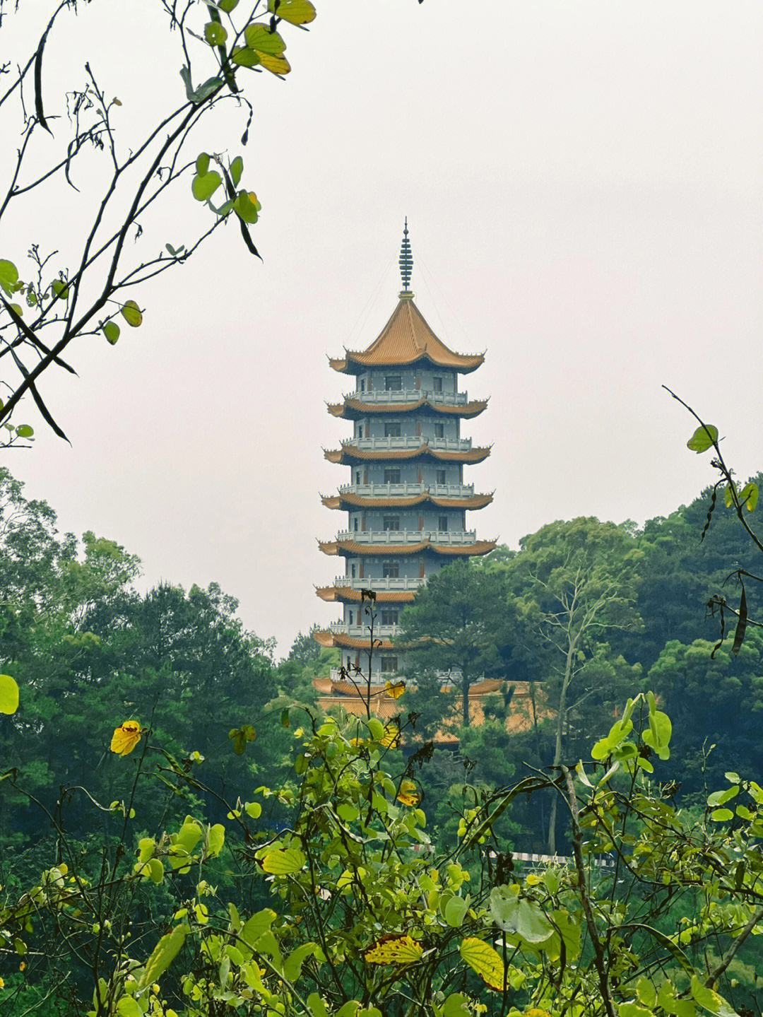 白云山公园