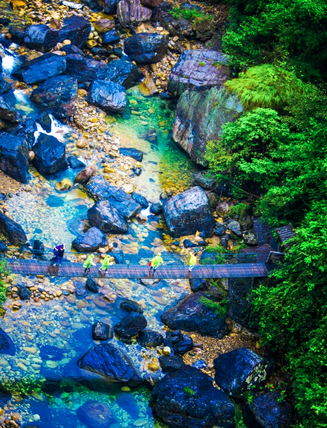 牯牛降