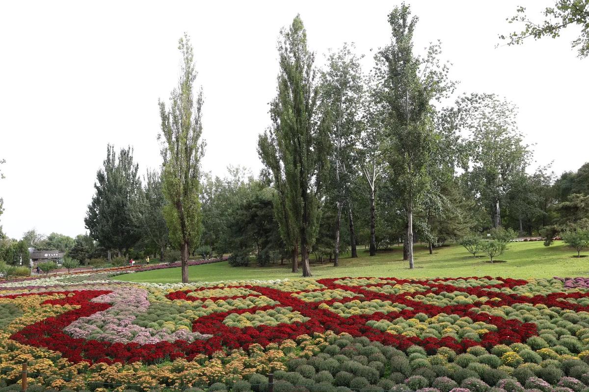 北京植物园