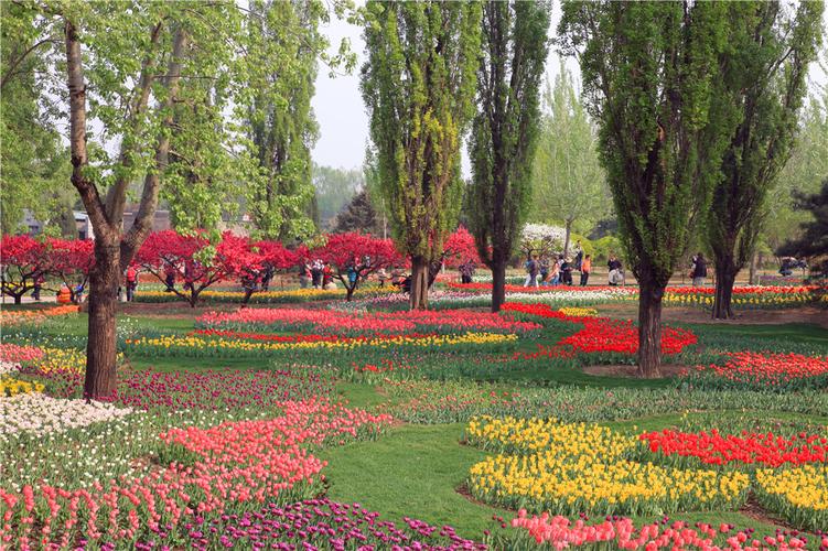 北京植物园