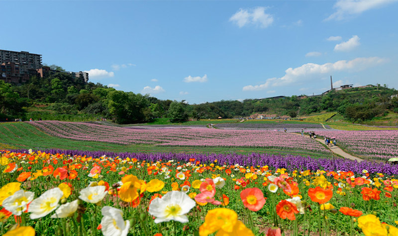 花田酒地景区