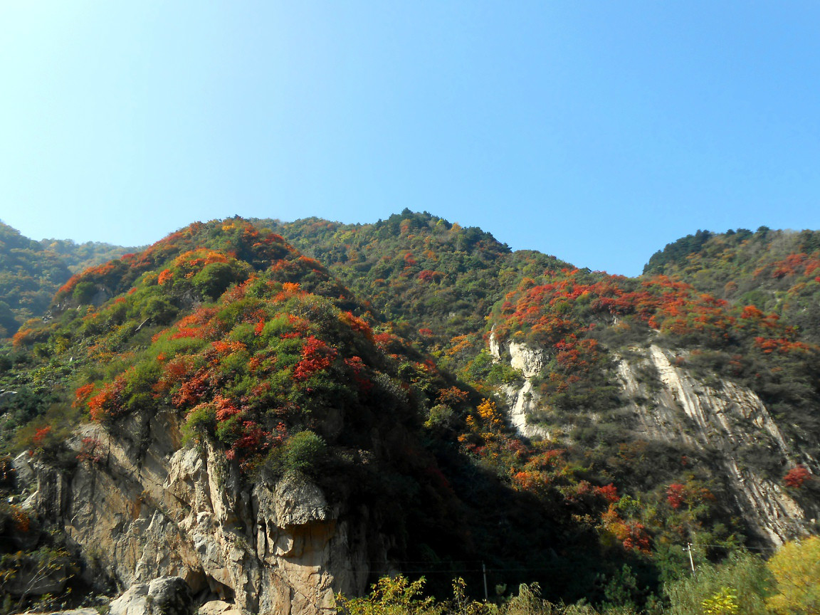 翠华山国家山崩地质公园