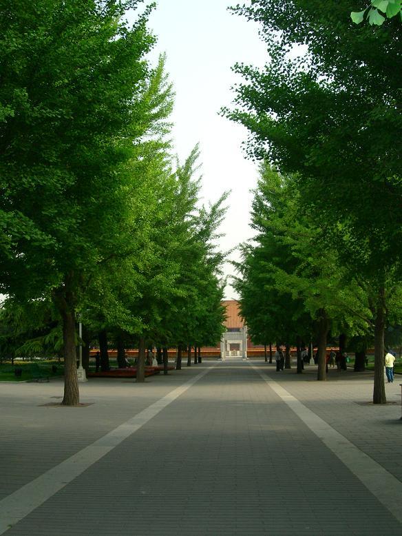 中山公园