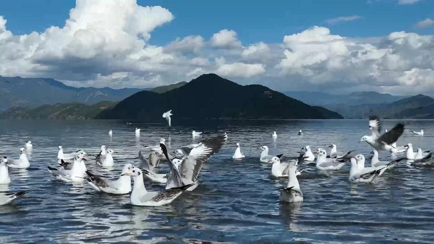 泸沽湖