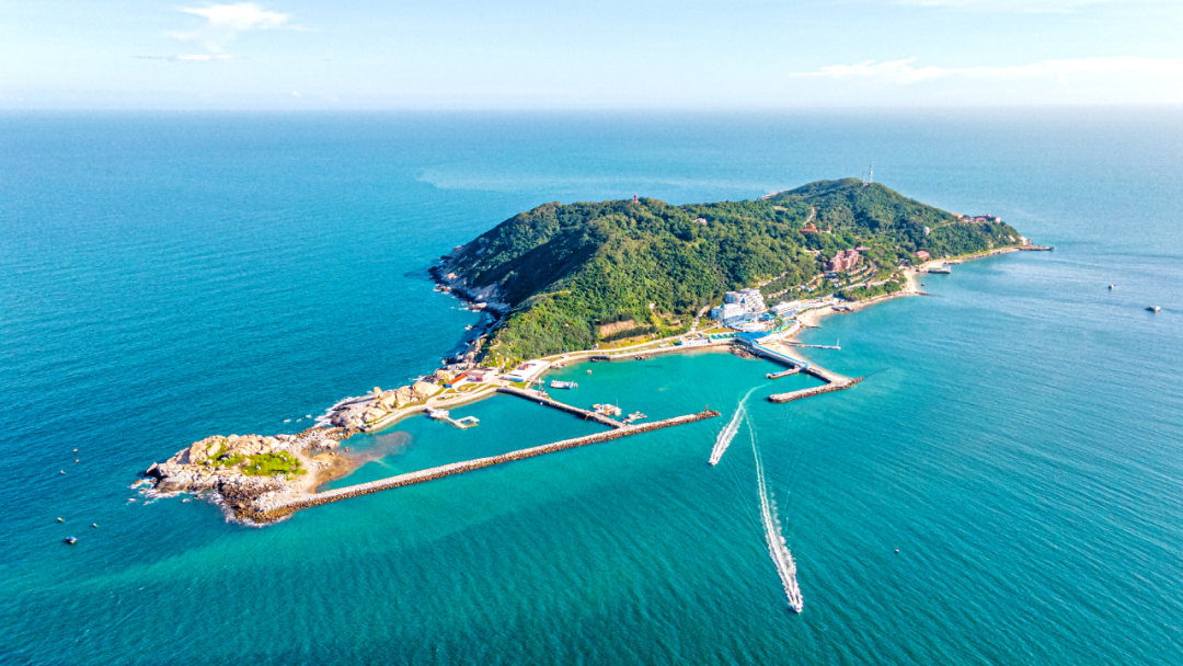 放鸡岛