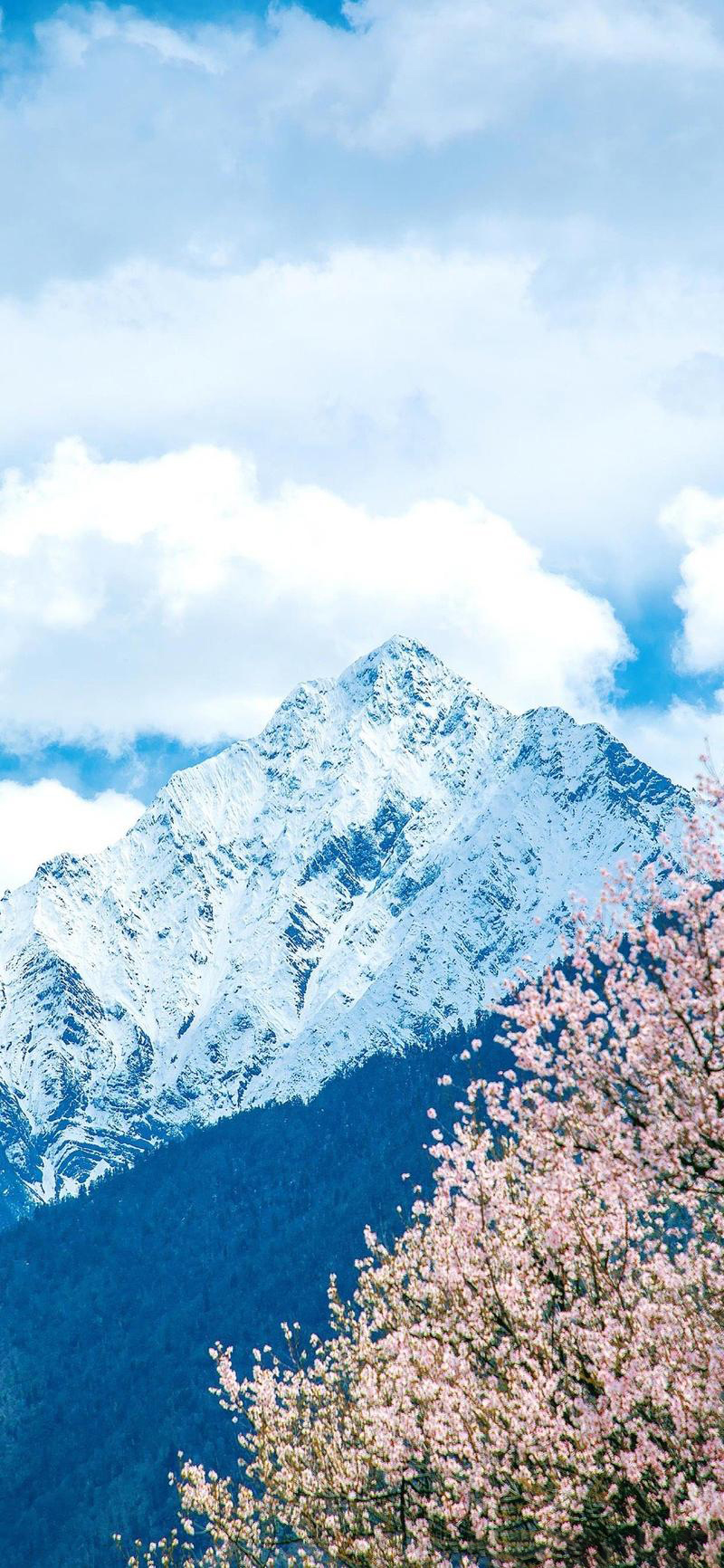 西岭雪山