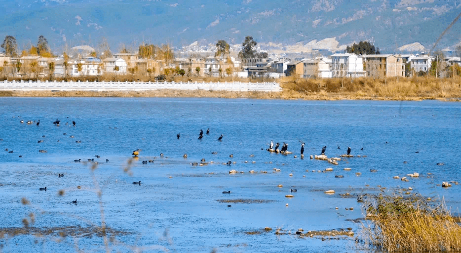 银都水乡