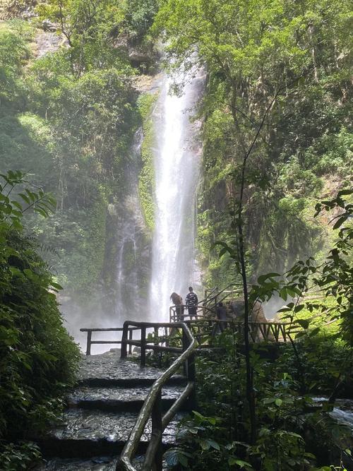 莫里热带雨林景区