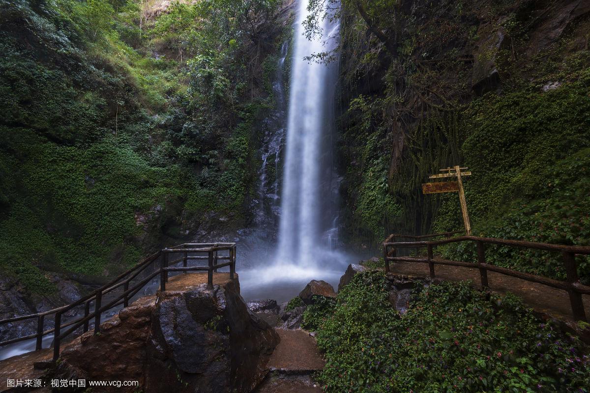 莫里热带雨林景区