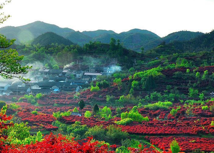 丹山赤水