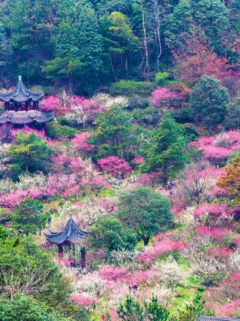 九峰山