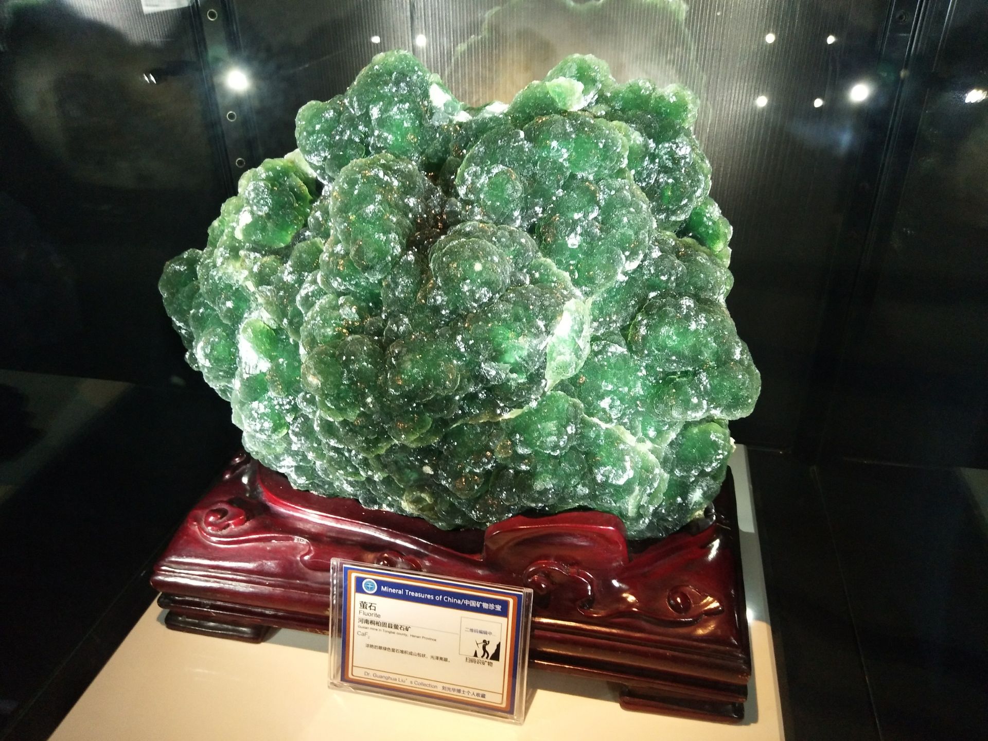 中国地质大学逸夫博物馆