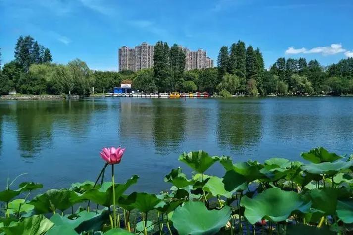 菱湖风景区