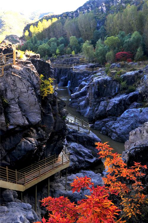 百里山水画廊