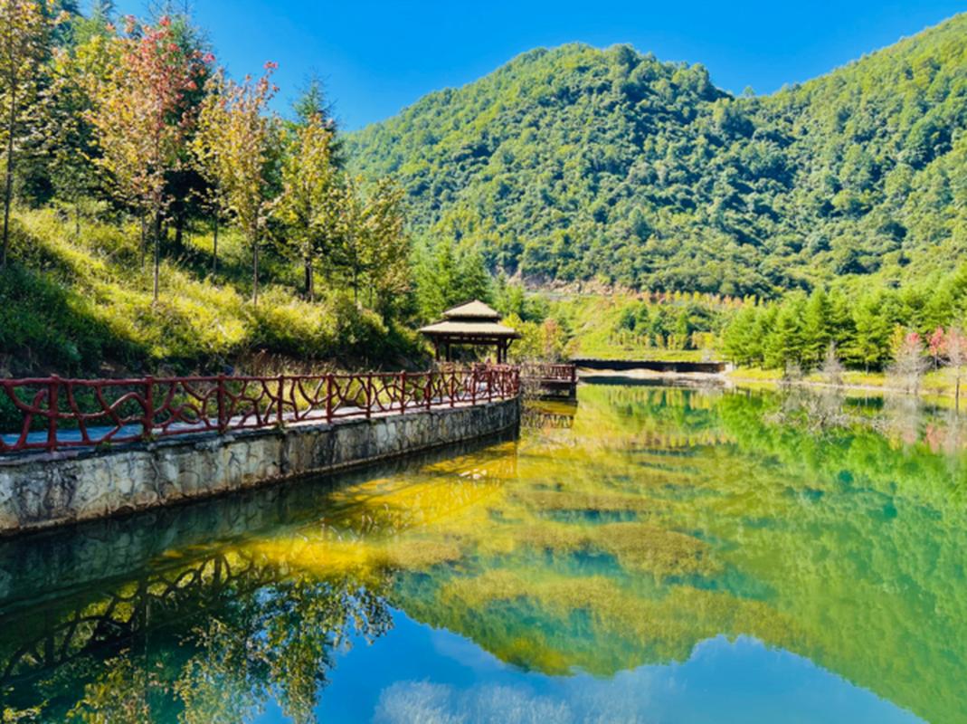 红池坝森林公园