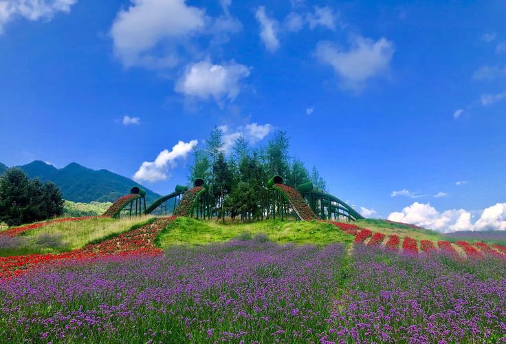 红池坝森林公园