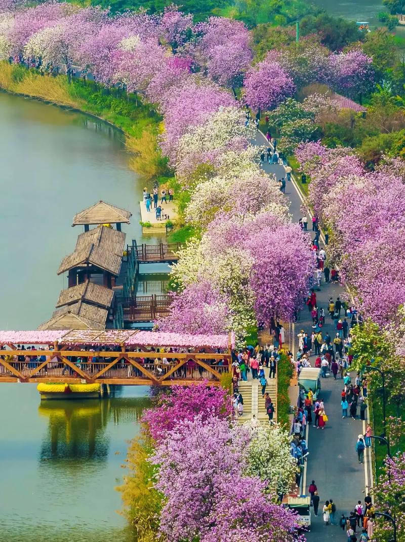 苏州太湖湿地公园