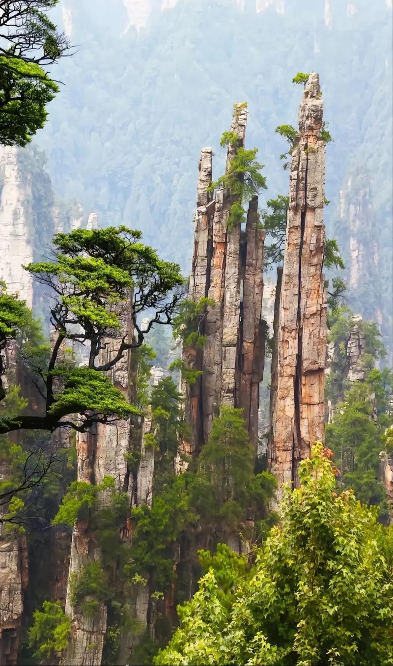 桂山