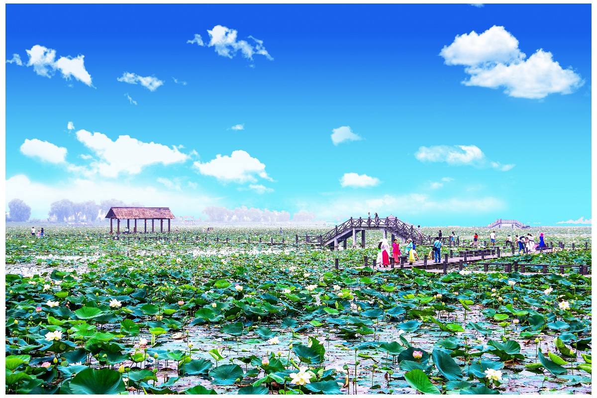 焦岗湖