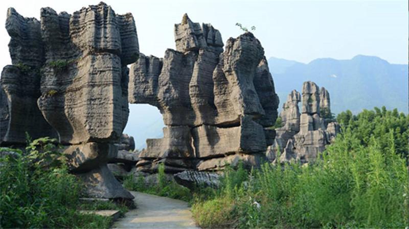 西部竹石林