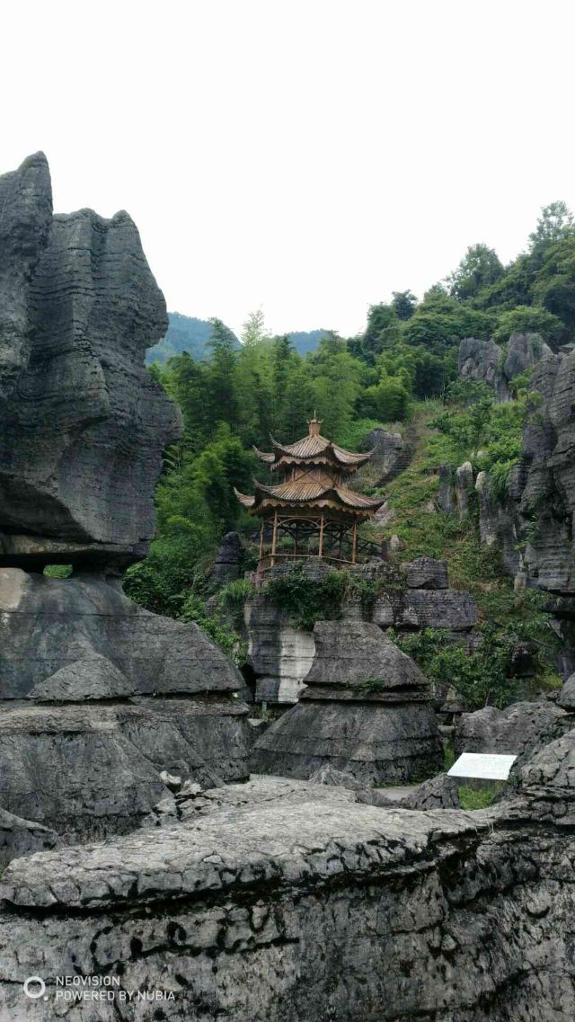 西部竹石林