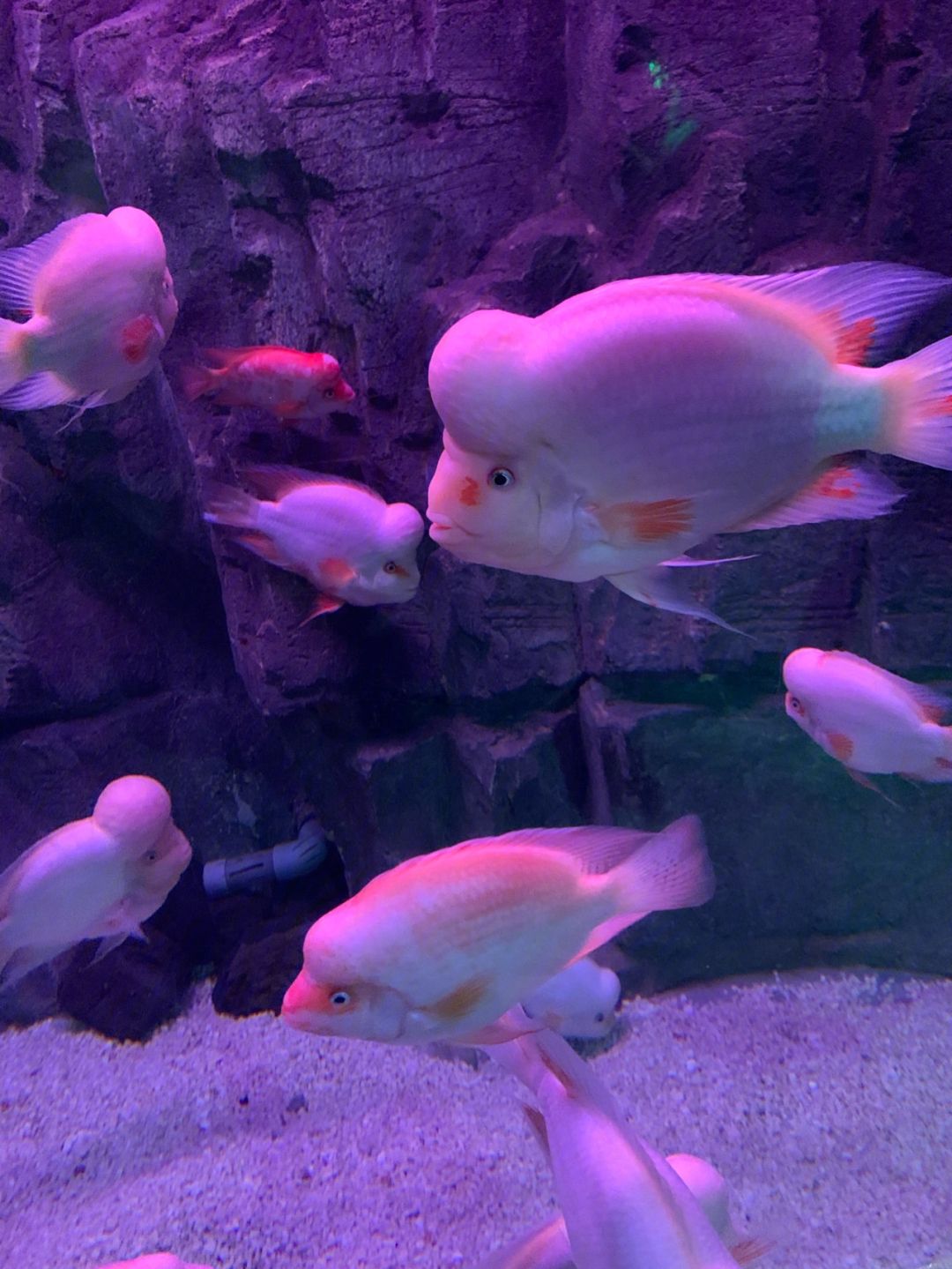 蓬莱海洋极地世界